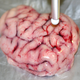 Illustration for article titled Smart Scalpel Can Distinguish Between Healthy and Cancerous Brain Tissue